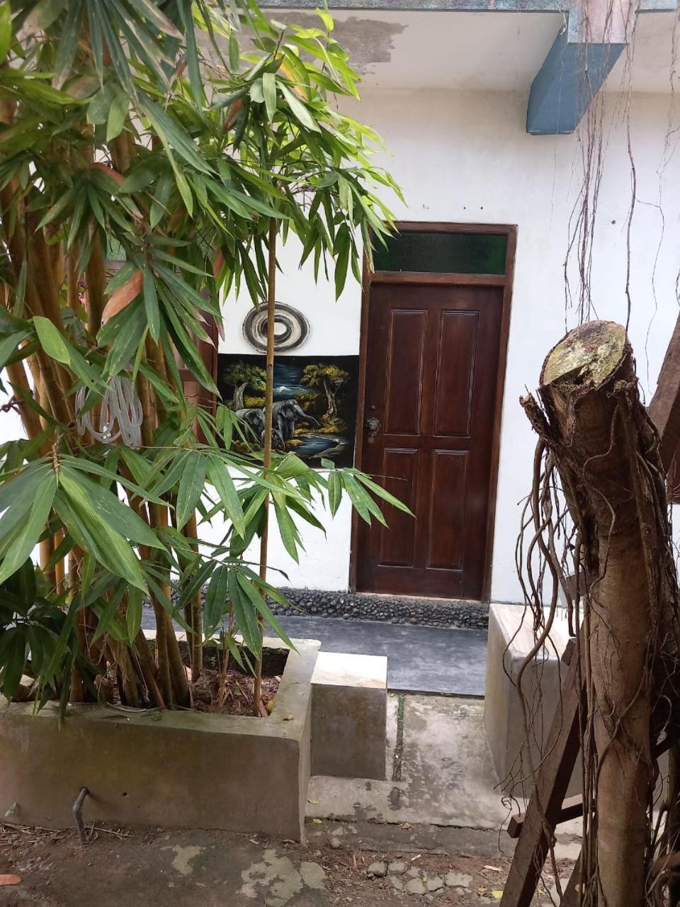 Suninn Hostel And Surf School Weligama Bagian luar foto