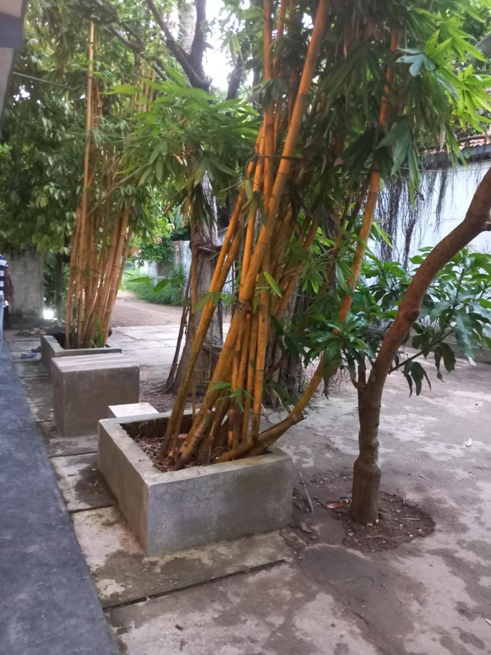 Suninn Hostel And Surf School Weligama Bagian luar foto