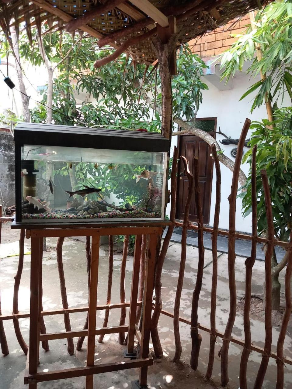 Suninn Hostel And Surf School Weligama Bagian luar foto